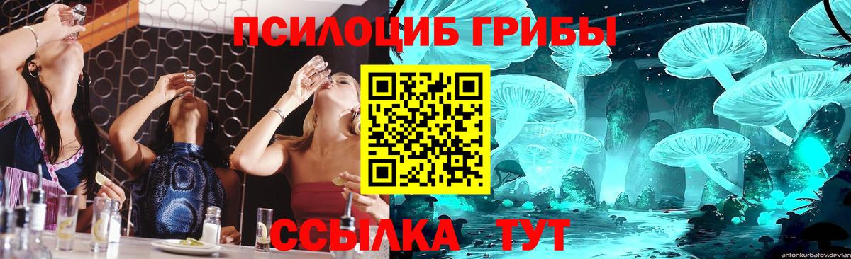 Галлюциногенные грибы Cubensis Самара
