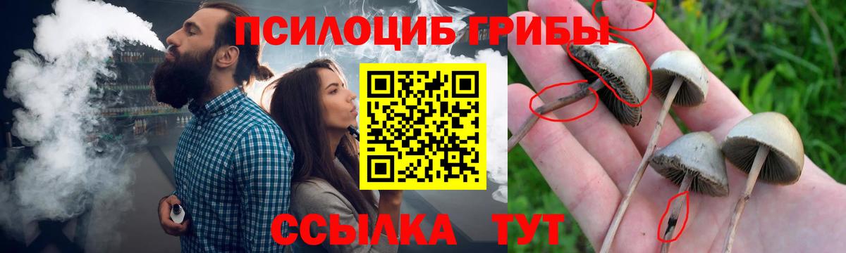 Псилоцибиновые грибы Psilocybine cubensis  Вход с VPN  магазин    Самара 